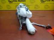 Airbag Dach rechts Renault Kadjar HA, HL 171350900045