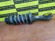 Stoßdämpfer links vorne VW Caddy II Hochdachkombi 9KV 6K0413031G