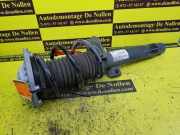 Federbein links vorne BMW 1er F21 14941510