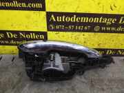 Türgriff rechts vorne Mini Mini F55 7296458RZ