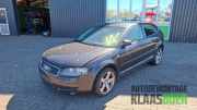 Frontschürze Audi A3 8P
