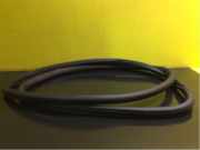 Türgummi rechts vorne VW Passat B6 3C2 3G0867911D