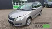 Motorhaube Skoda Fabia II Kombi 545