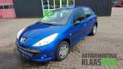 Tür links hinten Peugeot 206+ T3E
