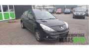 Motorhaube Peugeot 206+ T3E