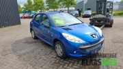 Tür rechts vorne Peugeot 206+ T3E
