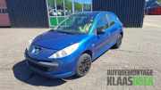 Motorhaube Peugeot 206+ T3E