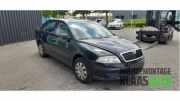 Tür rechts vorne Skoda Octavia II 1Z
