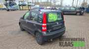 Heckklappe / Heckdeckel Fiat Panda 169