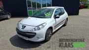 Motorhaube Peugeot 206+ T3E