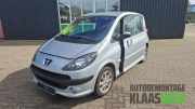 Motorhaube Peugeot 1007