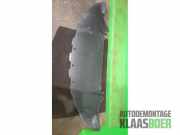 Steinschlagschutz Stoßstange Tesla Model 3 5YJ3