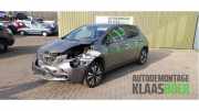 Tür rechts hinten Nissan Leaf ZE0