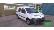 Tür rechts Renault Kangoo II Rapid FW0
