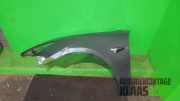 Kotflügel links vorne Tesla Model 3 5YJ3