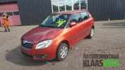 Kotflügel links vorne Skoda Fabia II 542
