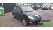 Motorhaube Lancia Ypsilon 843