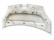 Motorhaube 651009758R Renault Kangoo Express (FW) Van 1.5 dCi 75 (K9K-608(K9K-B6))