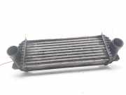 Ladeluftkühler 2T1Q9L440AC Ford TOURNEO CONNECT (TC7) Kombi Trend Corta (2009->) 110 CV / 81 KW