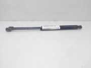 Gasdruckfeder Set Vorne 8116126000 Hyundai Santa Fe I SUV 2.0 CRDi 16V 4x4 (D4EA)