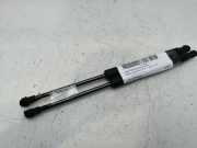 Gasdruckfeder Set Vorne 51232990344 BMW X1 (E84) SUV sDrive 18d 2.0 16V (N47-D20C)