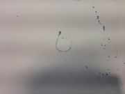 Motorhaube 7901J0 Peugeot 307 (3A/C/D) Schrägheck 2.0 HDi 90 (DW10TD(RHY))