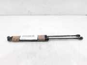 Gasdruckfedern Set Hinten 904529943R Dacia Sandero II Schrägheck 0.9 TCE 12V (H4B-400(H4B-A4))