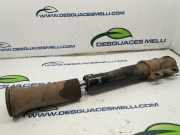 Sto?d?mpfer Links Vorne 9013201530 Mercedes-Benz Sprinter 4t (904) Bus 413 CDI 16V (OM611.981)