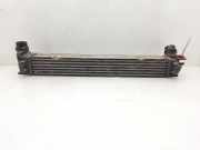 Ladeluftkühler 144961285R Renault Megane III Berline (BZ) Schrägheck 5-drs 1.5 dCi 90 (K9K-834(K9K-H8))