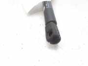 Gasdruckfeder Set Vorne 1J0823359D Audi A3 (8L1) Schrägheck 1.8 T 20V (AGU)