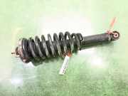 Stoßdämpfer Rechts Vorne 4431009150 SsangYong Kyron SUV 2.0 M 200 Xdi 16V 4x4 (D20DT(OM664.950))