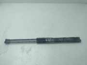 Gasdruckfedern Set Hinten 6896002031 Toyota COROLLA (E12) 1.4 D-4D Terra Berlina 90 CV / 66 KW