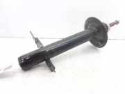 Stoßdämpfer Rechts Vorne 50706280 Fiat BASIS MINIBUS MAXI 35 (295) L4H2 RS: 4035 mm 140 Natural Power 136 CV / 100 KW