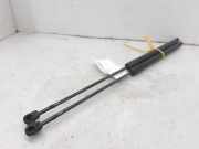 Gasdruckfedern Set Hinten 8V41S406A10AE Ford Kuga I SUV 2.0 TDCi 16V 140 (UFDA)