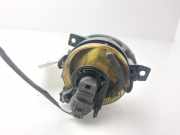 Nebelscheinwerfer Rechts Vorne A9068203961 Mercedes-Benz Sprinter 3,5t (906.63) Van 313 CDI 16V (OM646.986(Euro 4 (D4)))