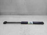 Gasdruckfedern Set Hinten 9639853880 Citroën C3 (FC/FL/FT) Schrägheck 5-drs 1.4 HDi (DV4TD(8HX))