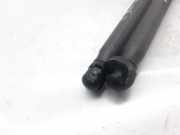 Gasdruckfedern Set Hinten 9636450380 Peugeot 406 (8B) Limousine 2.0 16V ST,SV (EW10J4(RFN))