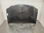 Motorhaube 6001546685 Dacia Logan MCV (KS) Kombi 1.5 dCi (K9K-796)