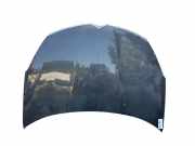 Motorhaube 7901P5 Citroën C-Crosser SUV 2.2 HDiF 16V (DW12METED4(4HK))