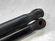 Gasdruckfedern Set Hinten 8200051750 Renault MEGANE II BERLINA 5P Confort Authentique 101 CV / 74 KW