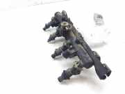 Einspritzdüsen Düsenstock 030133319AA Seat Cordoba (6C2/6K2) Limousine 1.4i CLX,SE,Latino (AUD)