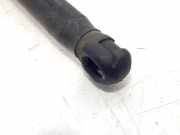 Gasdruckfeder Set Vorne 811613K000 Hyundai Sonata Limousine 2.0 CRDI VGT 16V (D4EA)