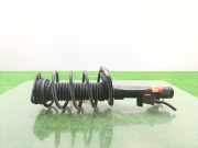 Stoßdämpfer Links Vorne 1681215 Ford FOCUS BERLINA (CAP) Trend 116 CV / 85 KW