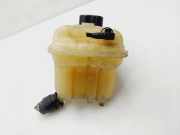 Ausgleichbehälter - - 1323V1 Citroën C5 II Berline (RC) Schrägheck 1.6 HDiF 16V (DV6TED4(9HZ)) 2007