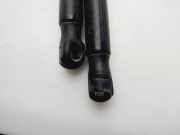 Gasdruckfedern Set Hinten AM51R406A10AE Ford C-Max (DXA) Großraumlimousine 2.0 TDCi 16V 115 (TYDA(Euro 5))