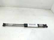 Gasdruckfedern Set Hinten 904529943R Dacia Sandero II Schrägheck 0.9 TCE 90 12V (H4B-408(H4B-B4))