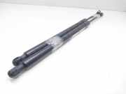 Gasdruckfedern Set Hinten K8D2406A10AB Land + Range Rover Range Rover Evoque Convertible (LVX) Cabrio 2.0 TD 150 16V (204DTD)