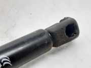 Gasdruckfeder Set Vorne 08610400 Citroën CITROEN XSARA BERLINA 1.6i 16V SX 109 CV / 80 KW