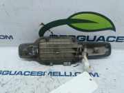 Türgriff Außen Links Hinten 7344031000 SsangYong Kyron SUV 2.0 M 200 Xdi 16V 4x4 (D20DT(OM664.950))