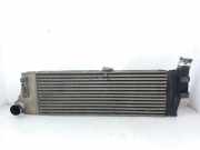 Ladeluftkühler 8200115540 Renault Megane II (LM) Limousine 1.5 dCi 100 (K9K-729)